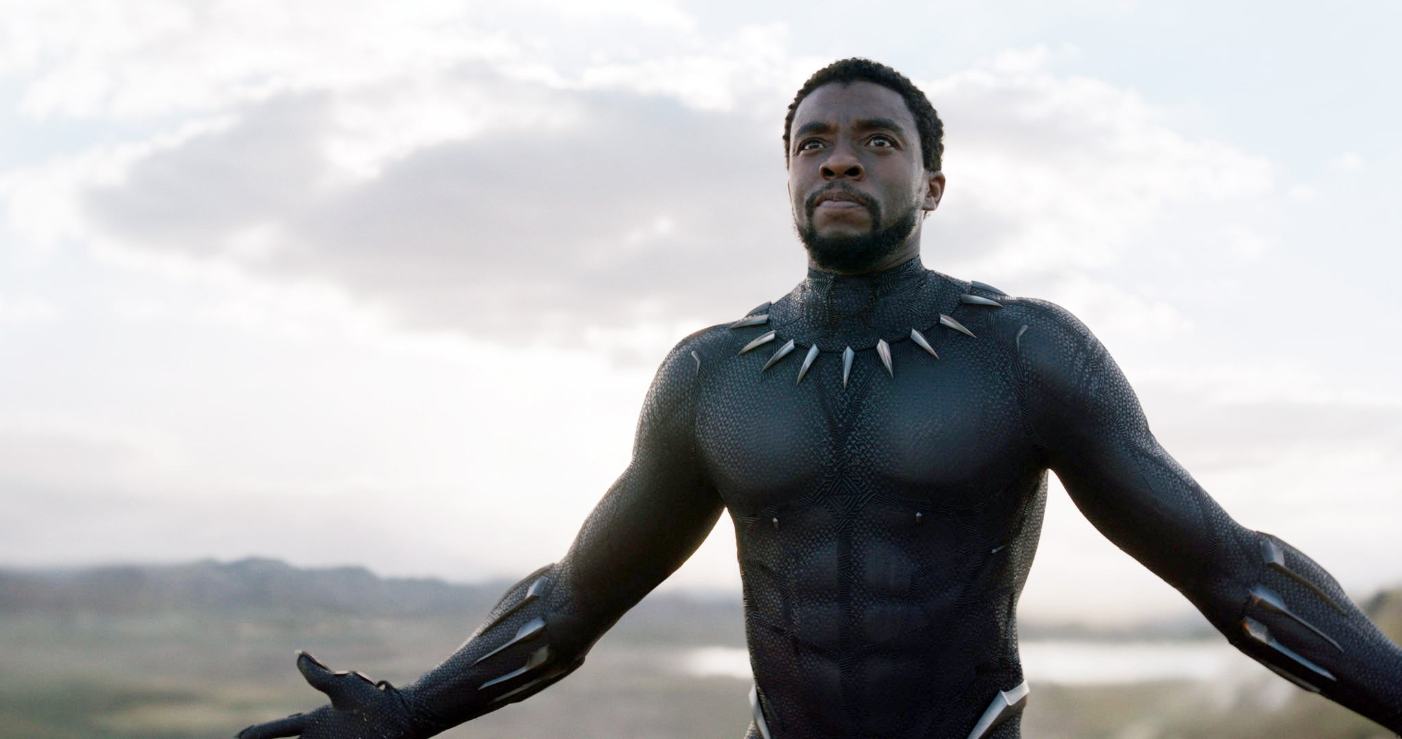 Chadwick Boseman’s King T’Challa Will Not Reappear in the MCU: “We Couldn’t Do It”